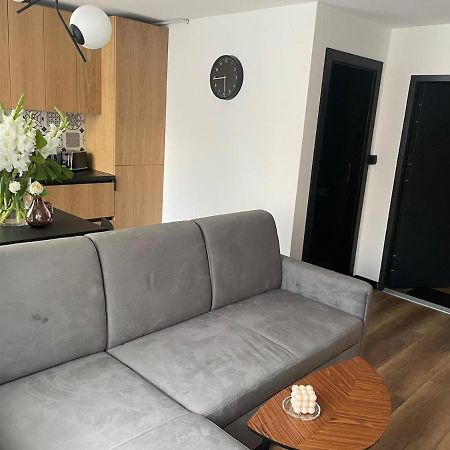 Apartamenty Nadrzeczna 14 Karpacz Buitenkant foto