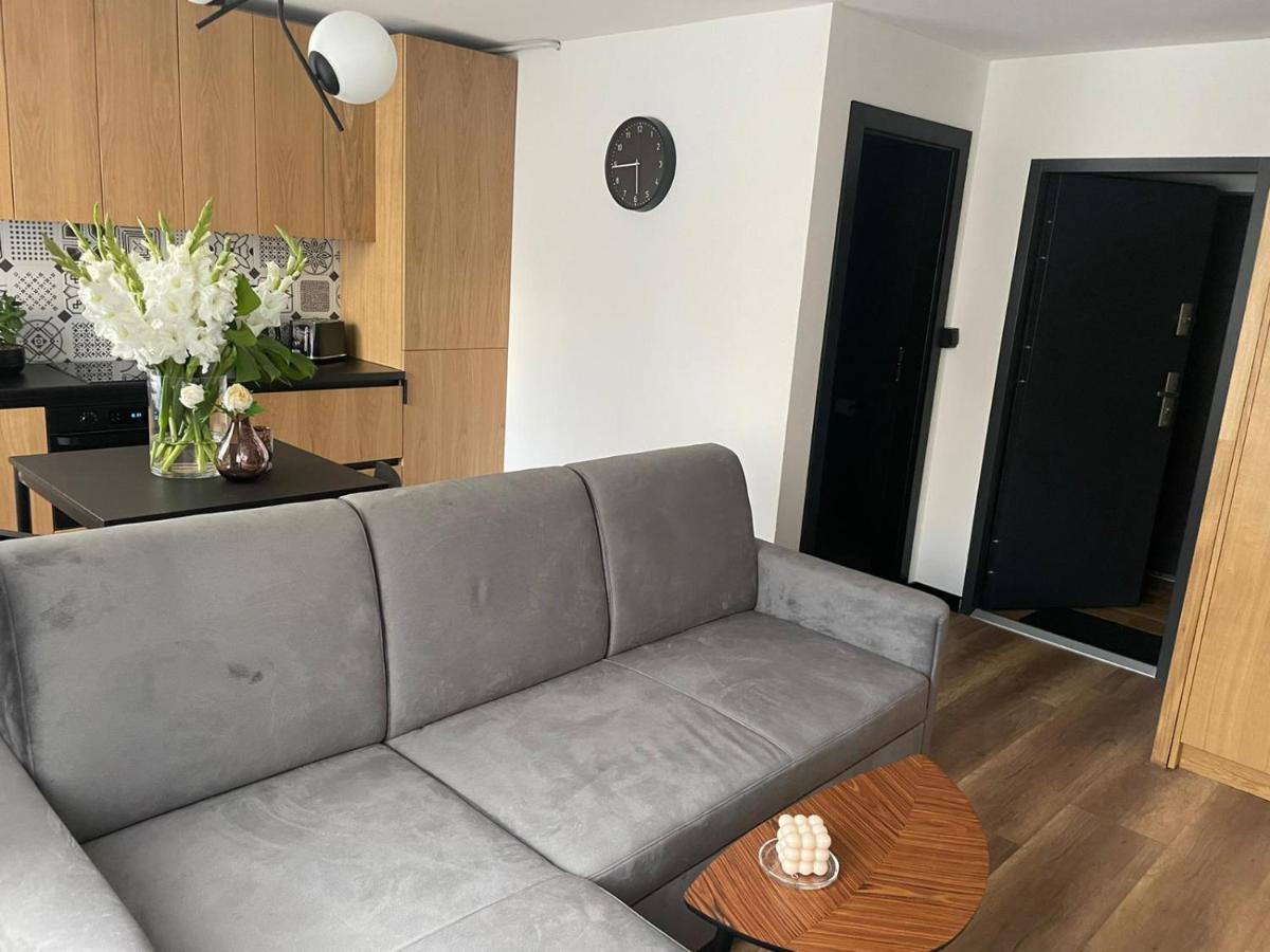 Apartamenty Nadrzeczna 14 Karpacz Buitenkant foto