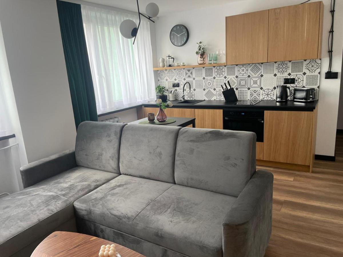 Apartamenty Nadrzeczna 14 Karpacz Buitenkant foto