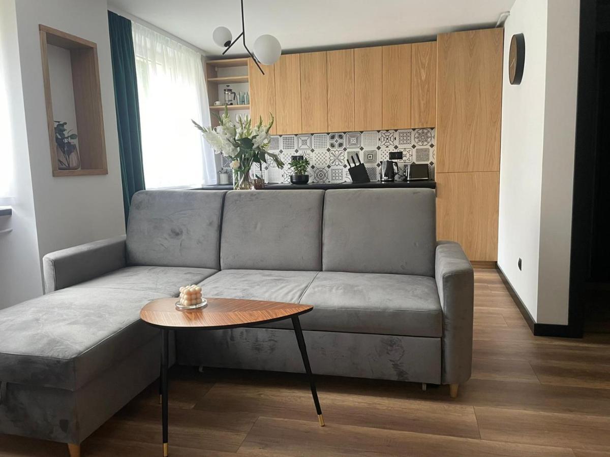 Apartamenty Nadrzeczna 14 Karpacz Buitenkant foto